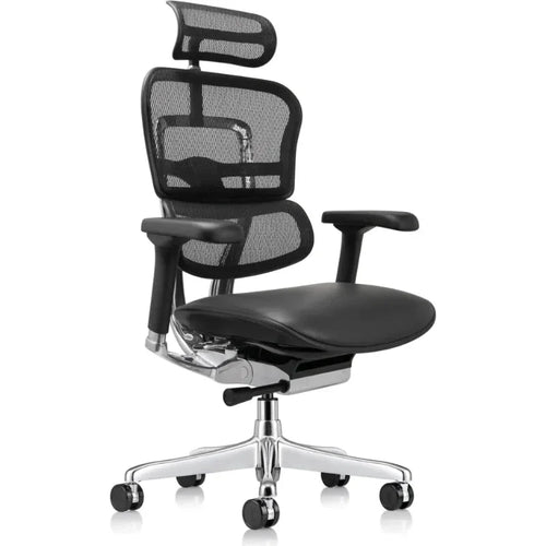 Eurotech Ergohuman LEM4ERG-GEN2 Leather Seat & Mesh Back Office Chair - front angle